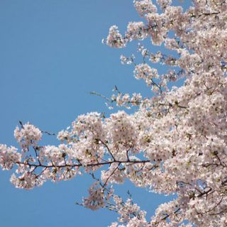 企画に役立つ！4月のイベントカレンダー