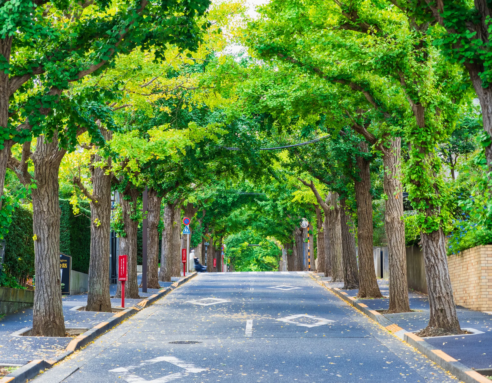 田園調布駅エリアのポップアップストア出店ガイド【保存版】