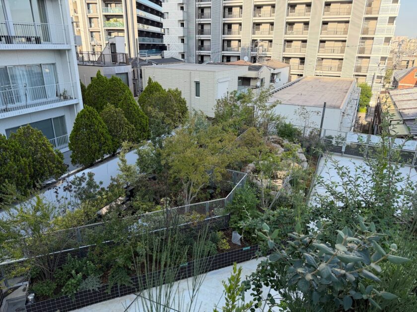 Biotope(2階:屋外中庭)ーー緑と音が響き合う、自然共生型スペース