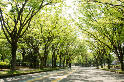 【駒沢エリア出店ガイド】公園カルチャーと駅前再開発が交差する街でポップアップを成功させる方法