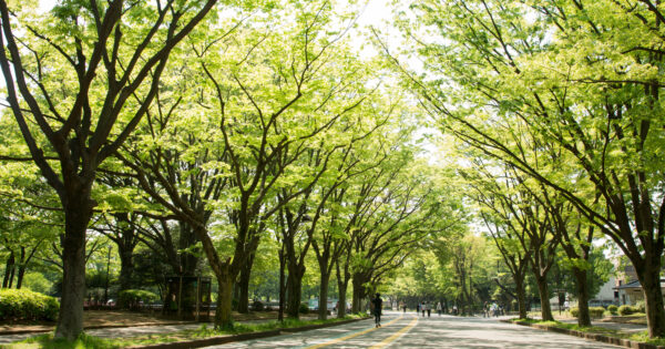 【駒沢エリア出店ガイド】公園カルチャーと駅前再開発が交差する街でポップアップを成功させる方法