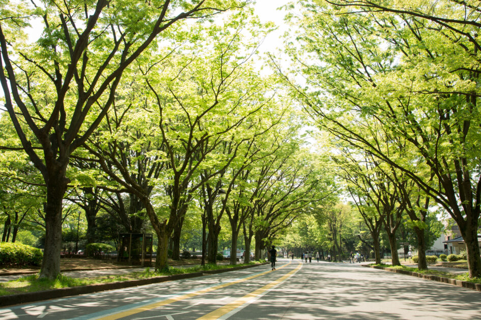 【駒沢エリア出店ガイド】公園カルチャーと駅前再開発が交差する街でポップアップを成功させる方法